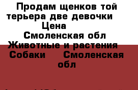 Продам щенков той-терьера две девочки 3500 › Цена ­ 3 500 - Смоленская обл. Животные и растения » Собаки   . Смоленская обл.